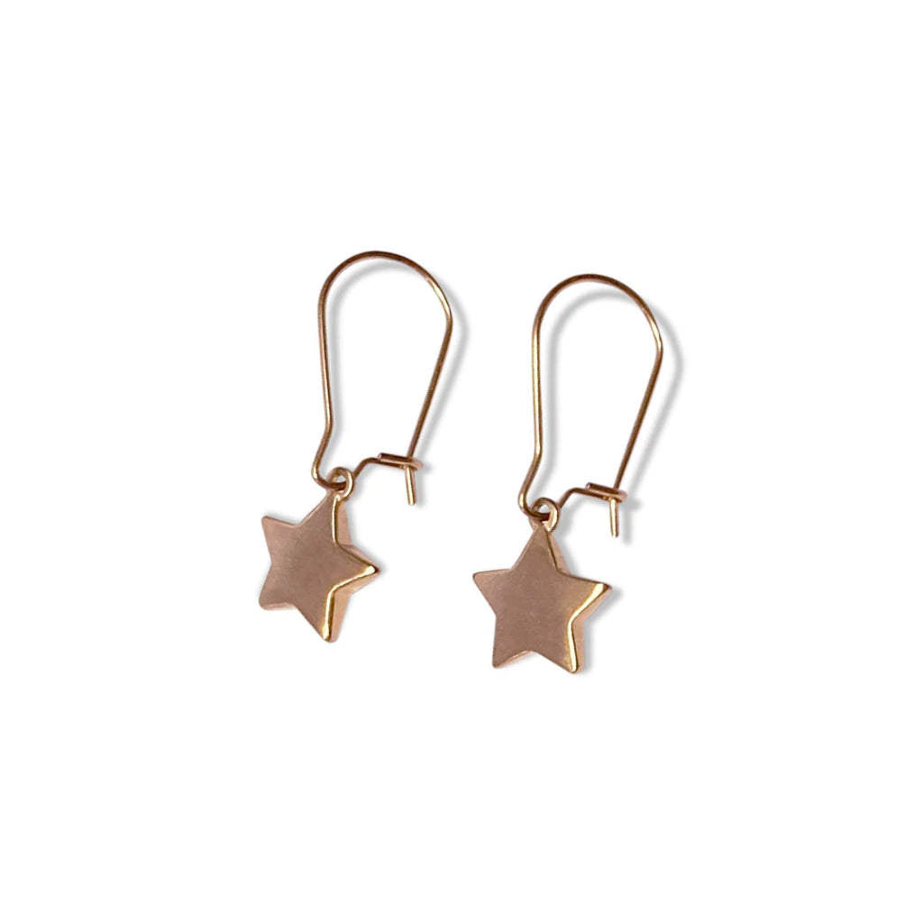 Rose Gold Plated Steel Me Star Earring