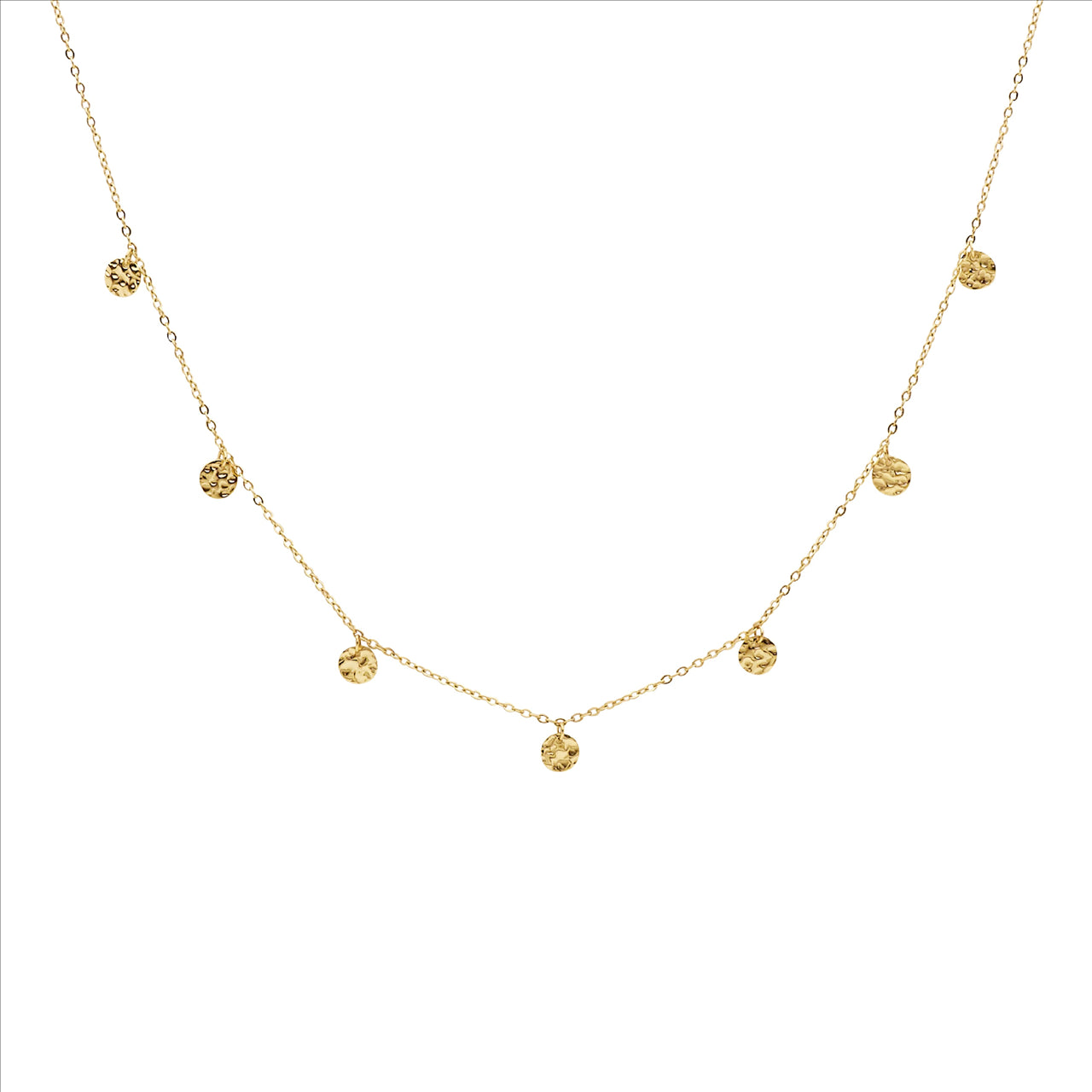 Stainless Steel & Gold IP Plated Disk Necklace
