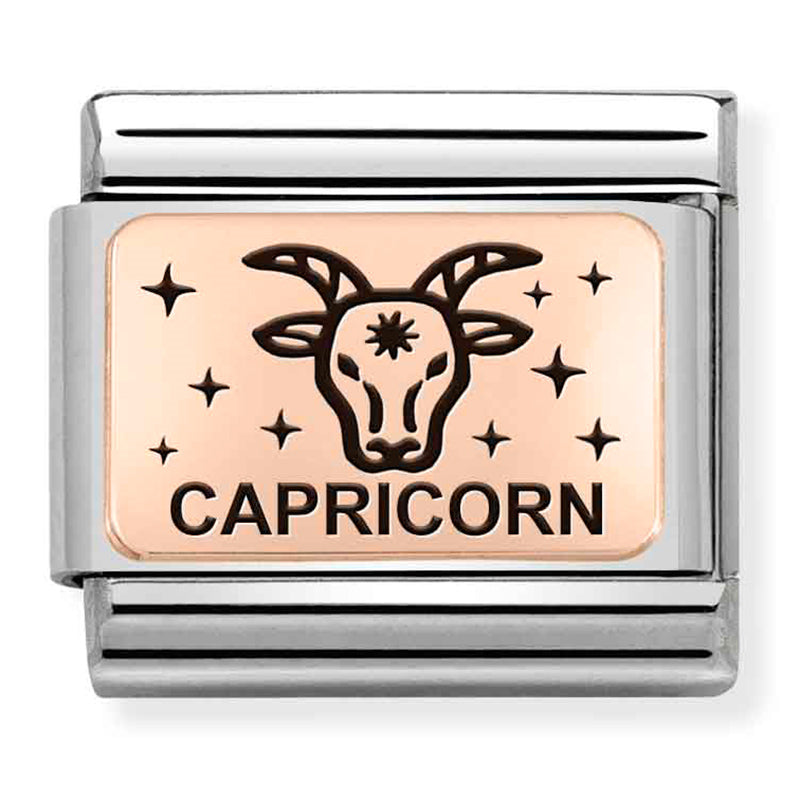 Composable Classic Link Capricorn in 9ct Rose Gold