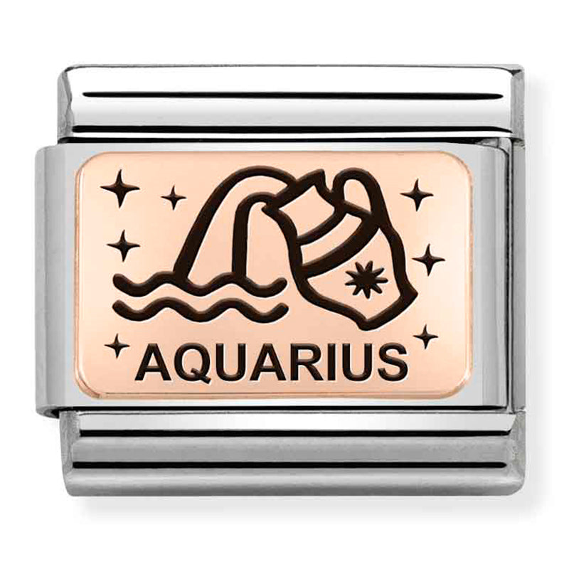 Composable Classic Link Aquarius in 9ct Rose Gold