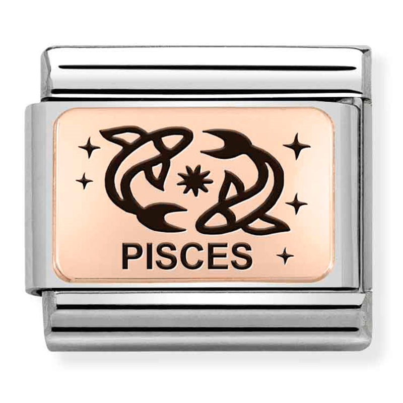 Composable Classic Link Pisces in 9ct Rose Gold